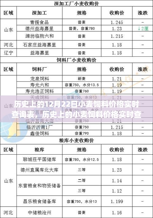 历史上的小麦饲料价格实时查询表，聚焦12月22日的观察与变化