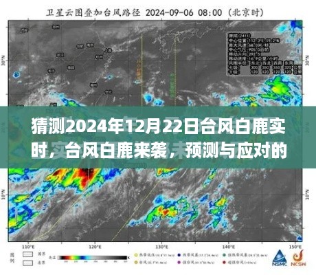 台风白鹿来袭，预测与应对探讨，实时关注台风动态