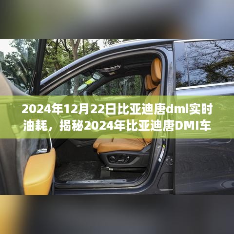 揭秘深度解析，2024年比亚迪唐DMI车型实时油耗解析