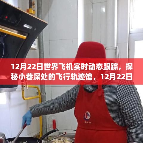 探秘飞行轨迹馆，世界飞机实时动态跟踪之旅（12月22日）