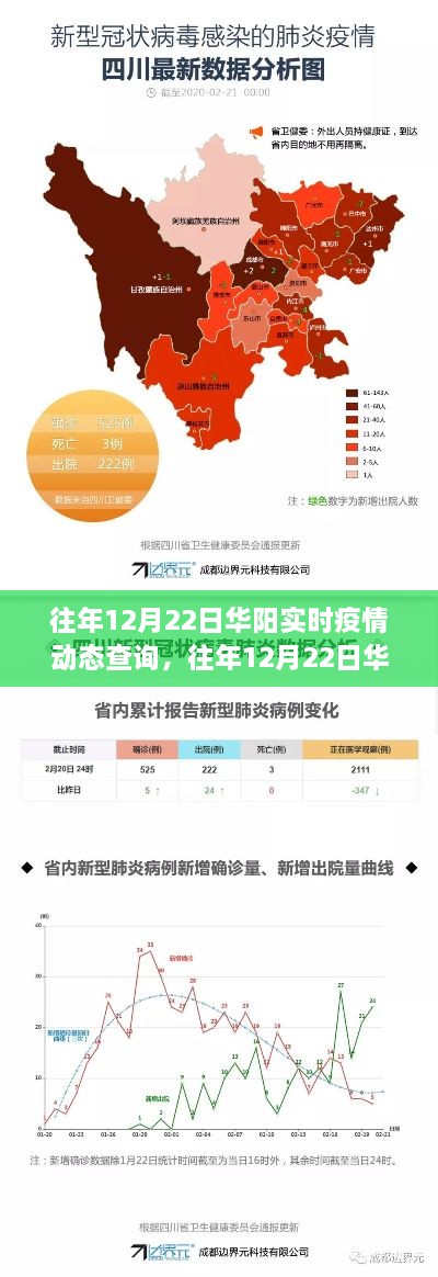 多维度视角下的观察与分析，往年12月22日华阳实时疫情动态查询深度解析