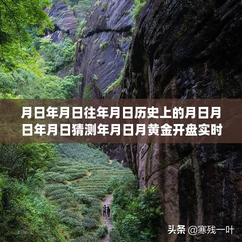 黄金行情揭秘，历史、预测与实时动态的交织