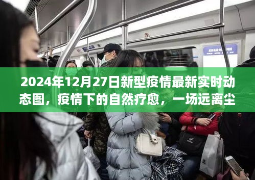 疫情下的自然疗愈之旅，探寻内心平静与新型疫情的实时动态图