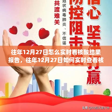 往年12月27日如何实时查看核酸结果报告，方法与观点探讨