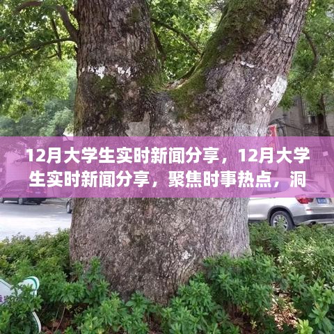 聚焦时事热点，大学生实时新闻分享，洞察时代变迁的十二月观察