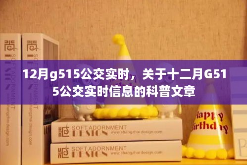 十二月G515公交实时信息详解，实时查询与运行动态科普文章