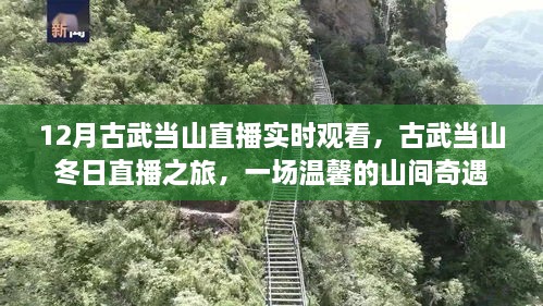 古武当山冬日直播之旅，探寻山间奇遇的温馨之旅