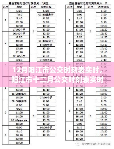 阳江市公交时刻表实时更新解析，十二月公交运营动态观察