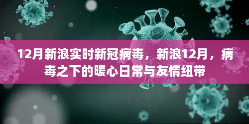 新浪12月，病毒下的暖心日常与友情纽带，实时新冠病毒报道