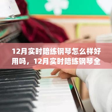 12月实时陪练钢琴全面评测，特性、体验、对比及用户群体深度分析