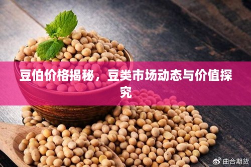 豆伯价格揭秘，豆类市场动态与价值探究