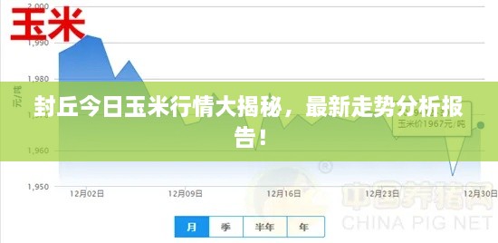 封丘今日玉米行情大揭秘，最新走势分析报告！