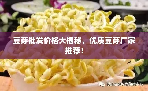 豆芽批发价格大揭秘，优质豆芽厂家推荐！