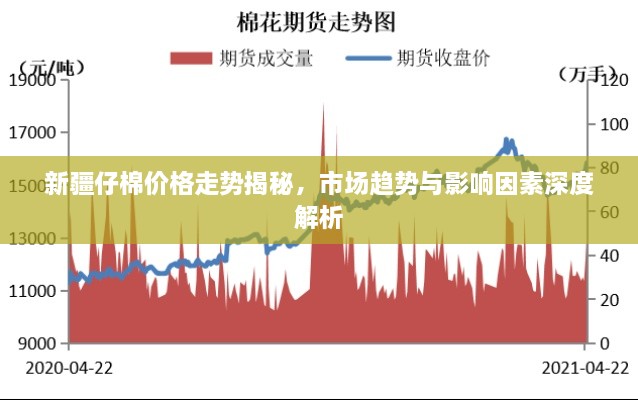 新疆仔棉价格走势揭秘，市场趋势与影响因素深度解析