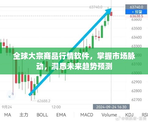 全球大宗商品行情软件，掌握市场脉动，洞悉未来趋势预测