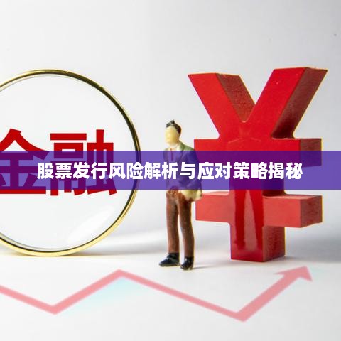 股票发行风险解析与应对策略揭秘