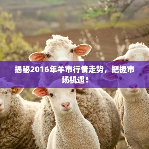 揭秘2016年羊市行情走势，把握市场机遇！