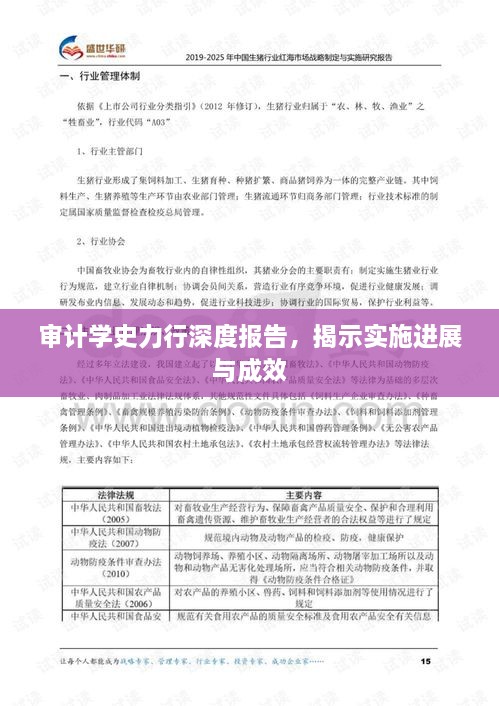 审计学史力行深度报告，揭示实施进展与成效