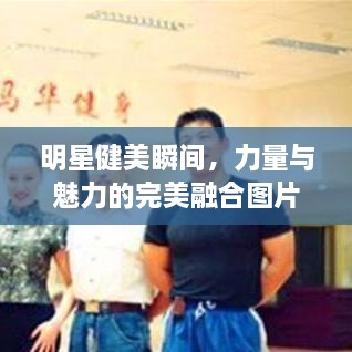 明星健美瞬间，力量与魅力的完美融合图片展示