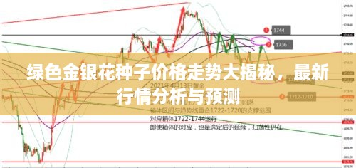 2025年1月1日 第7页