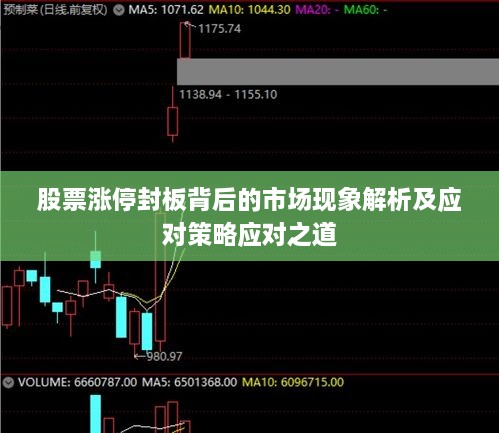 股票涨停封板背后的市场现象解析及应对策略应对之道