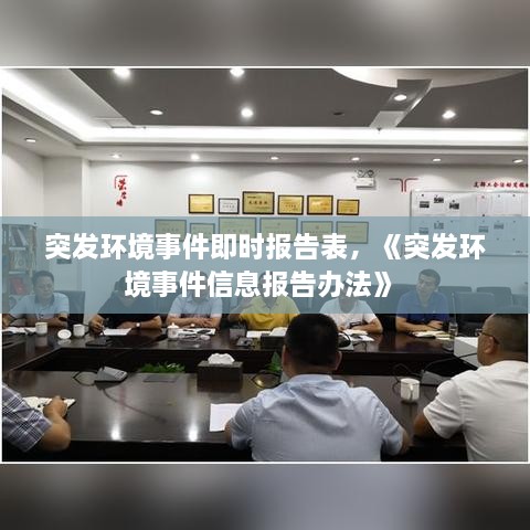 突发环境事件即时报告表，《突发环境事件信息报告办法》 