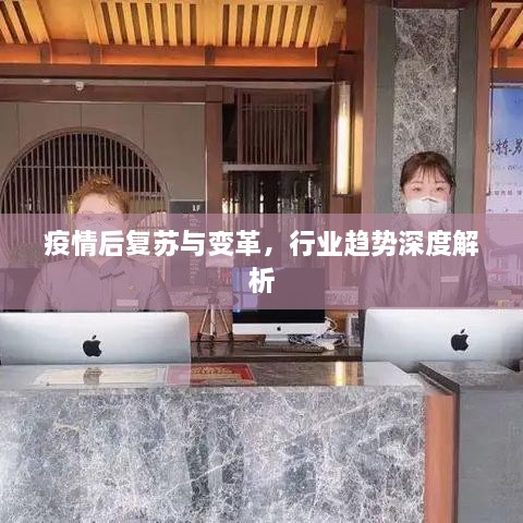 疫情后复苏与变革，行业趋势深度解析