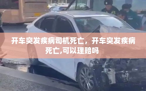 开车突发疾病司机死亡，开车突发疾病死亡,可以理赔吗 