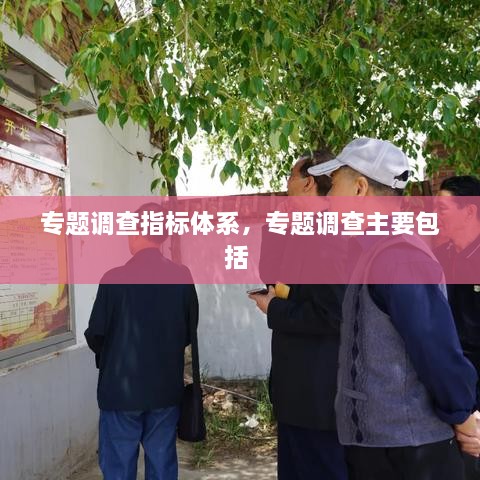 专题调查指标体系，专题调查主要包括 