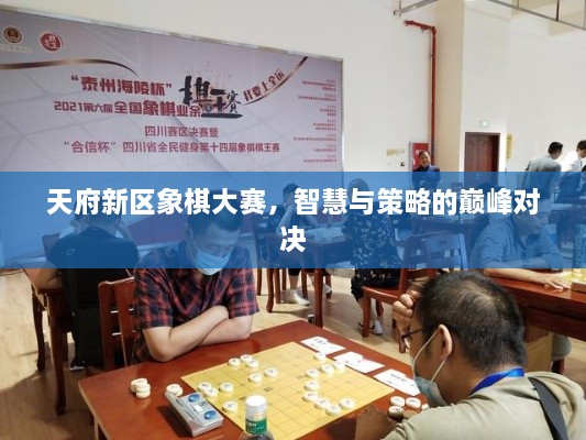 天府新区象棋大赛，智慧与策略的巅峰对决