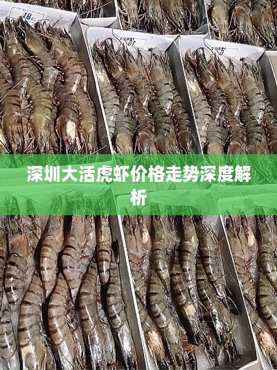 深圳大活虎虾价格走势深度解析