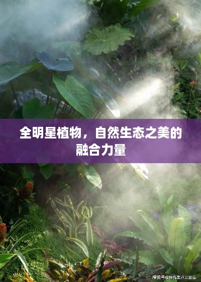 全明星植物，自然生态之美的融合力量