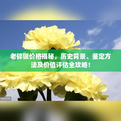 老碎银价格揭秘，历史背景、鉴定方法及价值评估全攻略！