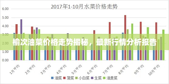 榆次油菜价格走势揭秘，最新行情分析报告