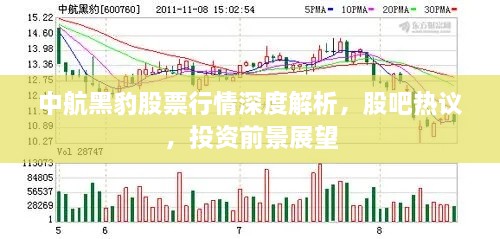 中航黑豹股票行情深度解析，股吧热议，投资前景展望