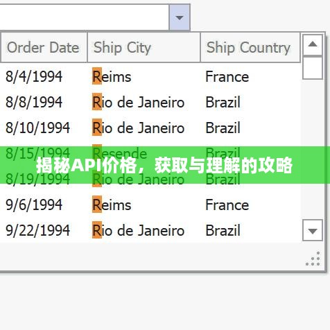 揭秘API价格，获取与理解的攻略