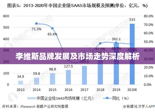 李维斯品牌发展及市场走势深度解析