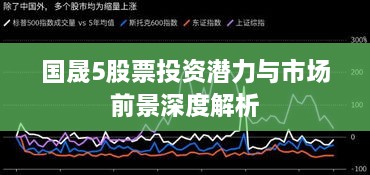 国晟5股票投资潜力与市场前景深度解析