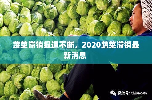 蔬菜滞销报道不断，2020蔬菜滞销最新消息 