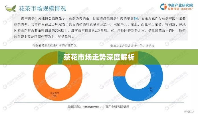 茶花市场走势深度解析