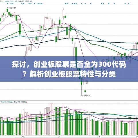 探讨，创业板股票是否全为300代码？解析创业板股票特性与分类