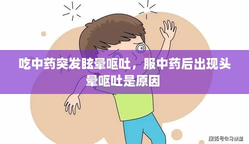 吃中药突发眩晕呕吐，服中药后出现头晕呕吐是原因 