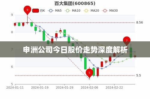 申洲公司今日股价走势深度解析