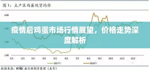 疫情后鸡蛋市场行情展望，价格走势深度解析