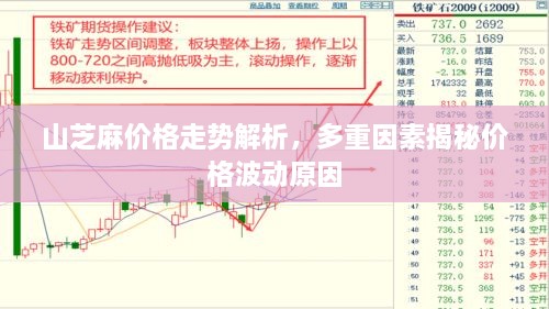 2025年1月4日 第4页