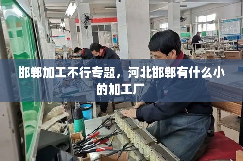 邯郸加工不行专题，河北邯郸有什么小的加工厂 