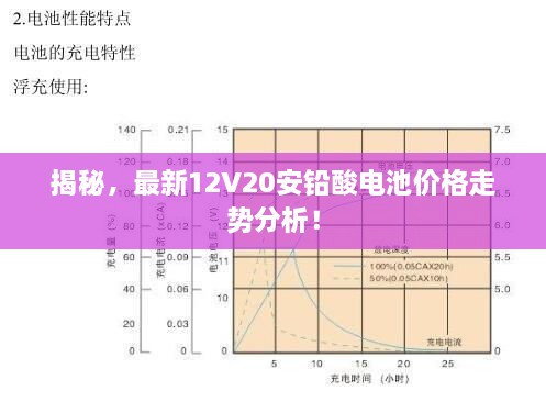 揭秘，最新12V20安铅酸电池价格走势分析！