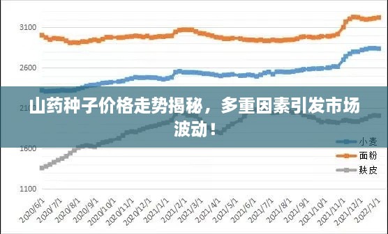 天荒地老