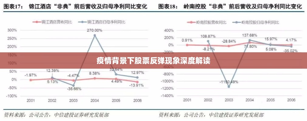 疫情背景下股票反弹现象深度解读