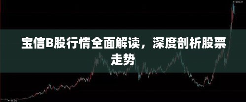 宝信B股行情全面解读，深度剖析股票走势